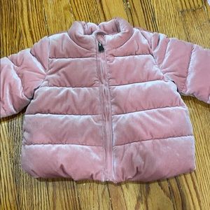 Gap baby jacket